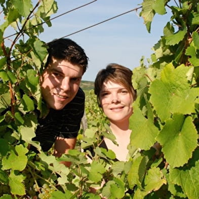 Open kelders bij Domaine Désiré Petit