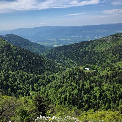 Col du Grand Colombier, ENS de l'Ain