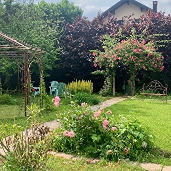 Le long d'Ain - CHAMPAGNOLE