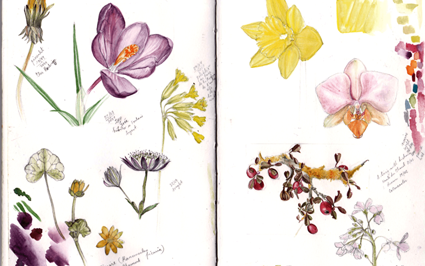123 Natuurworkshop: Inleiding tot botanisch tekenen