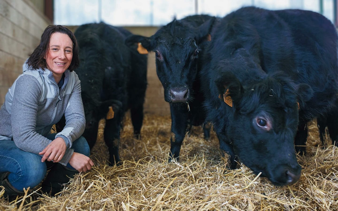 Rondleiding en proeverij van de Route des Savoir-faire: Les Angus du Chaufour