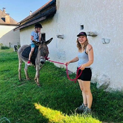 Les Âneries se baladent : balades avec des ânes