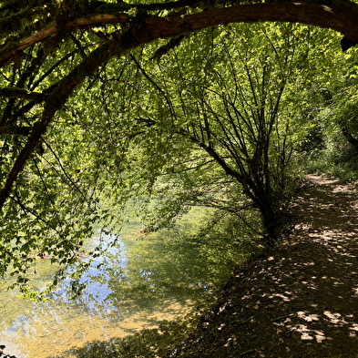 Walking loop - le val de cusance