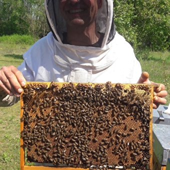 Kirchhoff Cyrille apiculteur - SAINT-SORLIN-EN-BUGEY