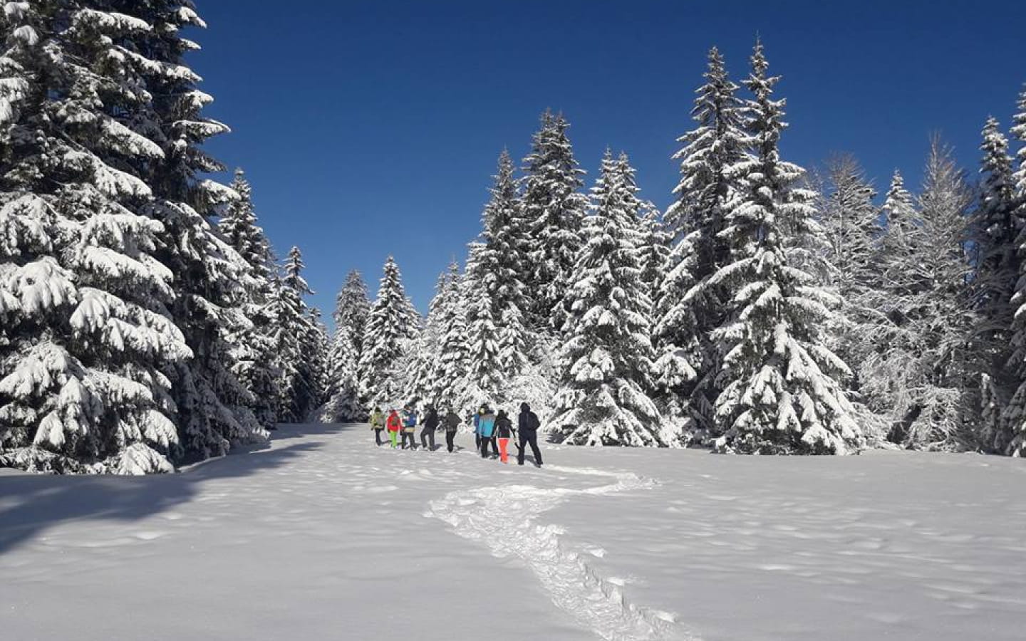 Sneeuwschoenwandelen: oriënteren