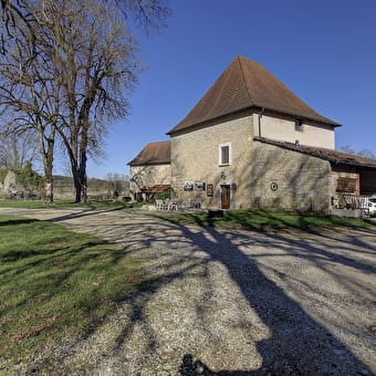 Le Château - BOHAS-MEYRIAT-RIGNAT