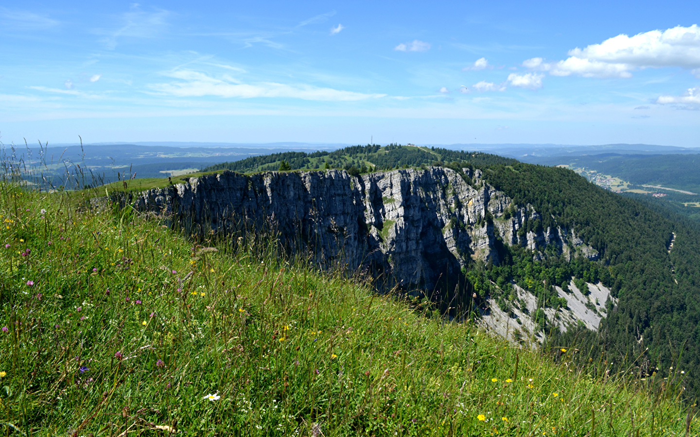 Wandelen - De geheimen van de bergweiden en alpenweiden
