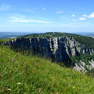 Wandelen - De alpenweiden en bossen van de Super Longevilles
