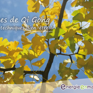Energie en marche - Qi Gong