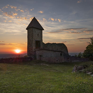 Open Monumentendag op Château de Chevreaux