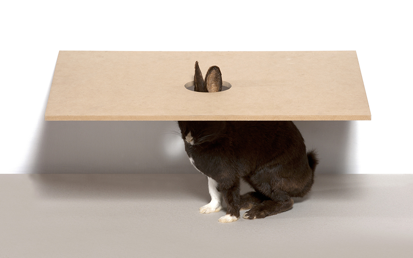 mdlx Collecties - Carte blanche met Michel Delacroix