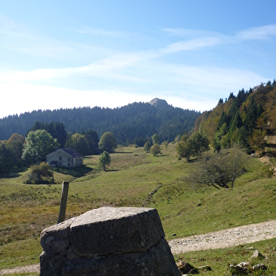 La Borne au Lion, Crêt de Chalam