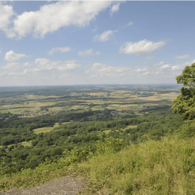 Dame Blanche en Vieux Tilleul