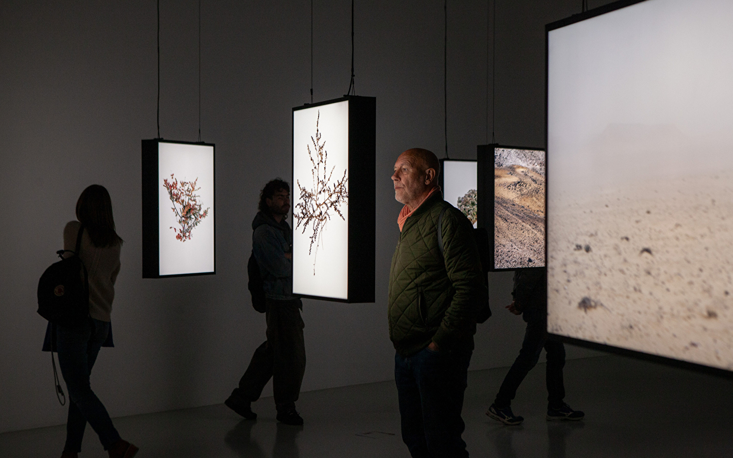 Bezoek: De tentoonstellingen oversteken