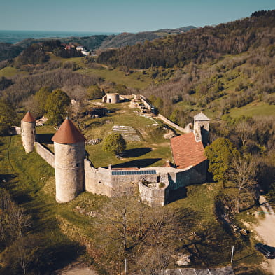 Open Monumentendag op Château de Chevreaux