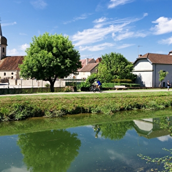 Tinkerbell Trail - AUDELANGE