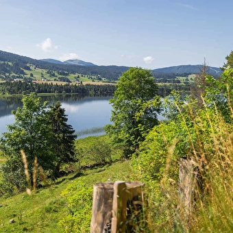 De lus van Grand Tétras - Fietsroute 12 - LONGCHAUMOIS