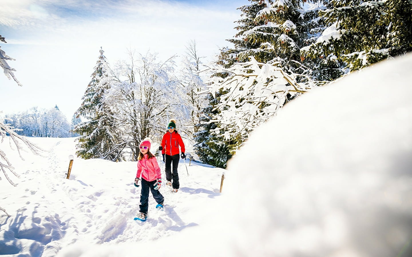 De Grande traversée du Jura op sneeuwschoenen - GTJ raquette