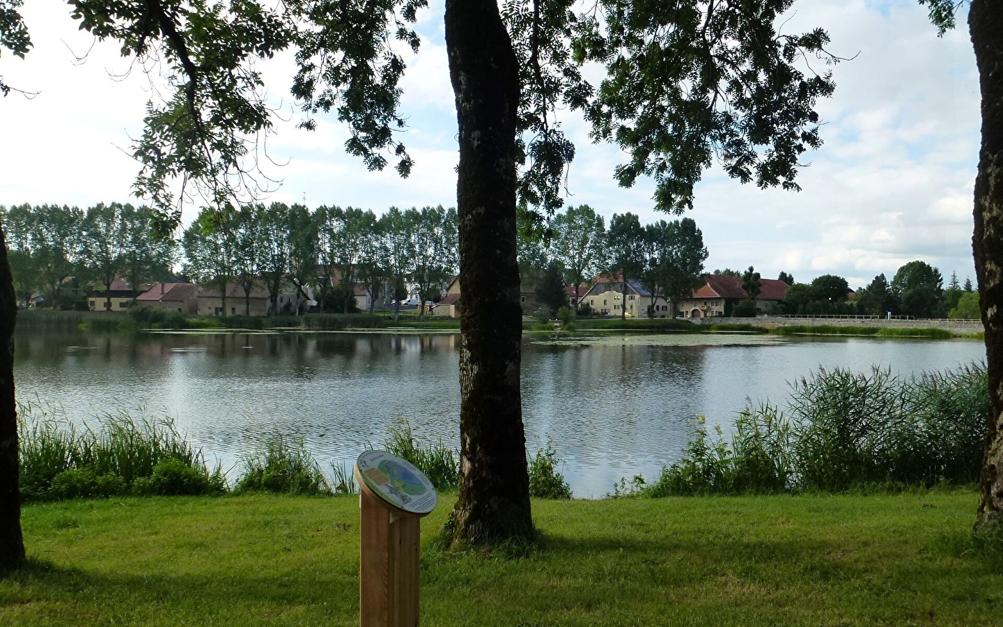 Le sentier drugeon et dragon