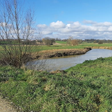 Beaupont - Etang Les Baisses (VTT)