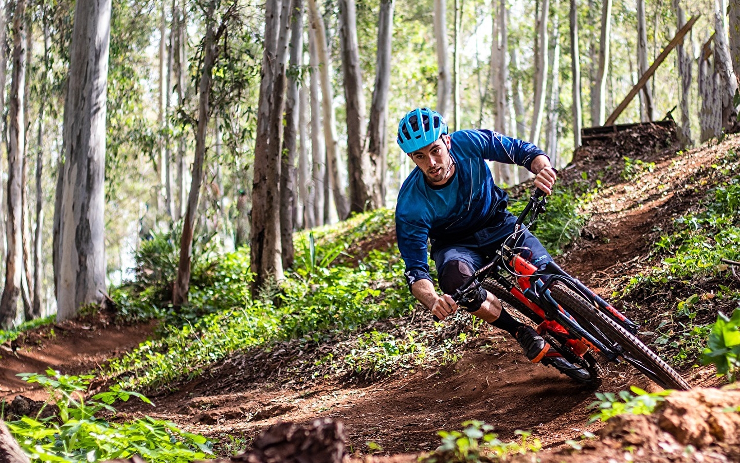 Bike Park des Monts Jura