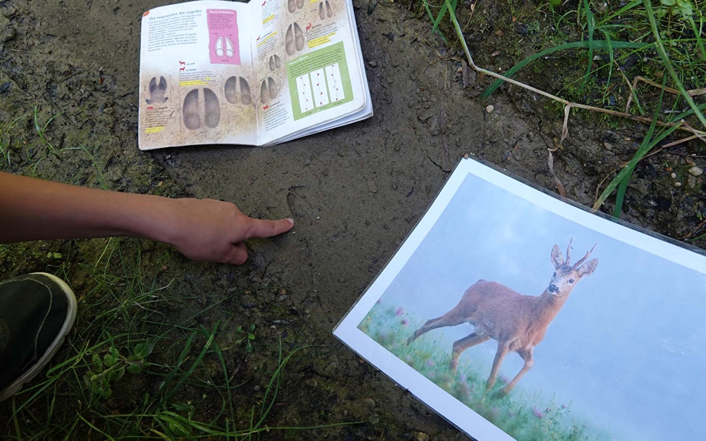 Leerling spoorzoekers