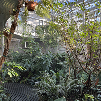 Le Jardin botanique, Biome