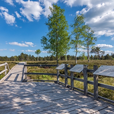 40 jaar Regionaal Natuurreservaat Tourbières de Frasne