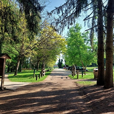 Parcours VTT 1 vert - La forêt de Rothonne : Le Renard - Espace FFC Ain Forestière