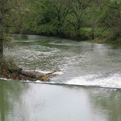 La passerelle de Valuisant