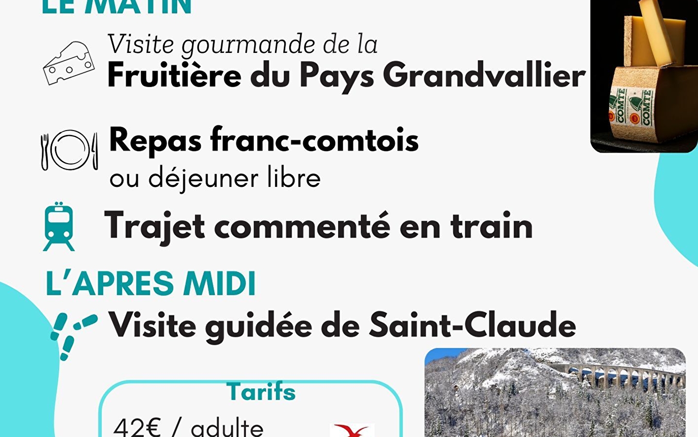 Winterexcursie op de Zwaluwlijn