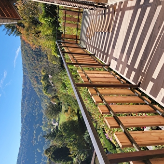 A l'origine  - MONTGESOYE