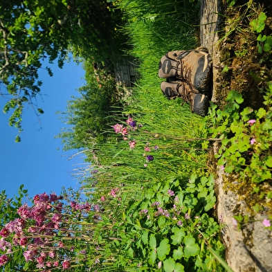 Ontdek de Coeur du Jura op een andere manier