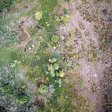 40 jaar Regionaal Natuurreservaat Tourbières de Frasne