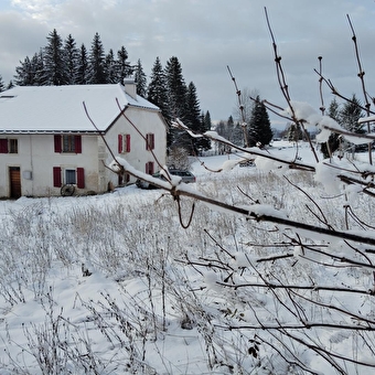 La Ferme des Paradis - PREMANON