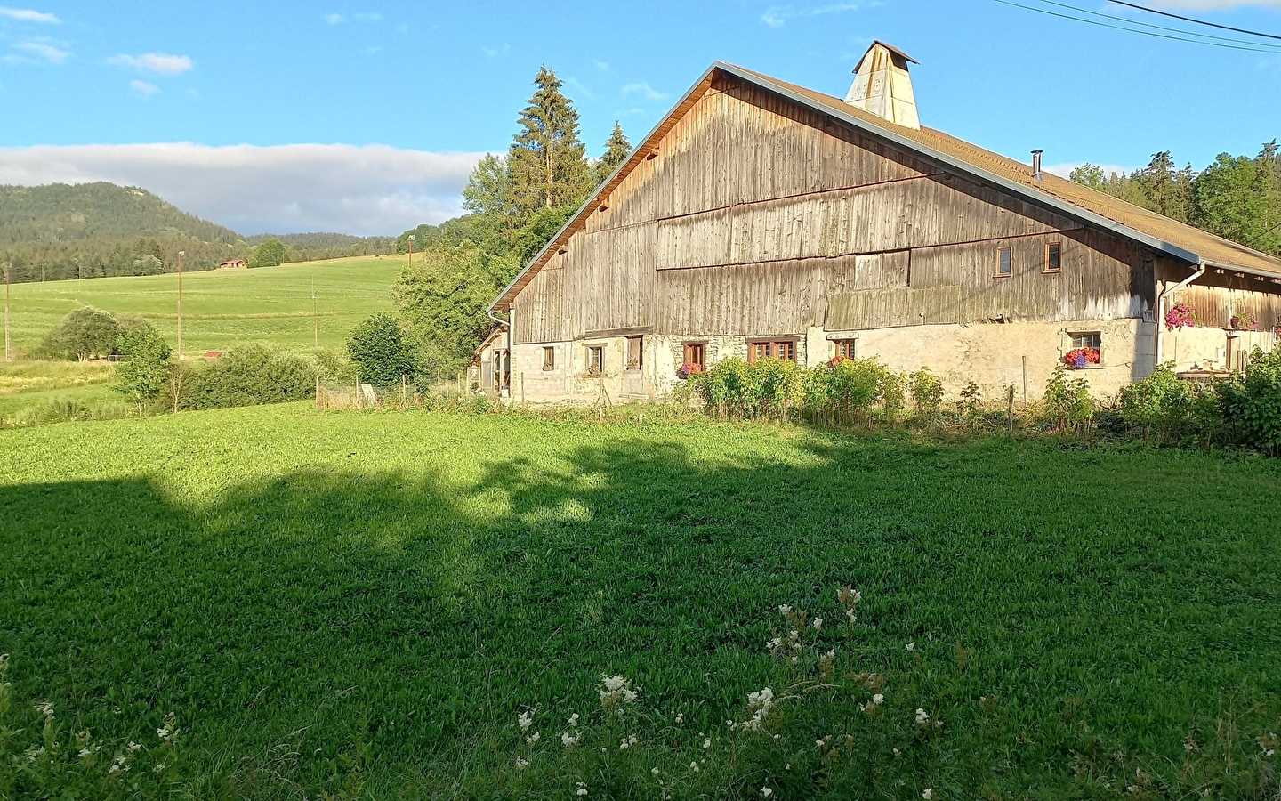 Chambre d'hôtes - La grand raie