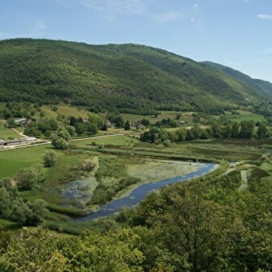 Le lac de Millieu et marais du Vernay, ENS de l'Ain