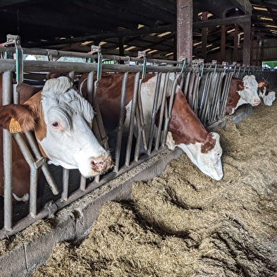 Bezoek aan de boerderij van Puy de la Velle (Doubs Spirulina)