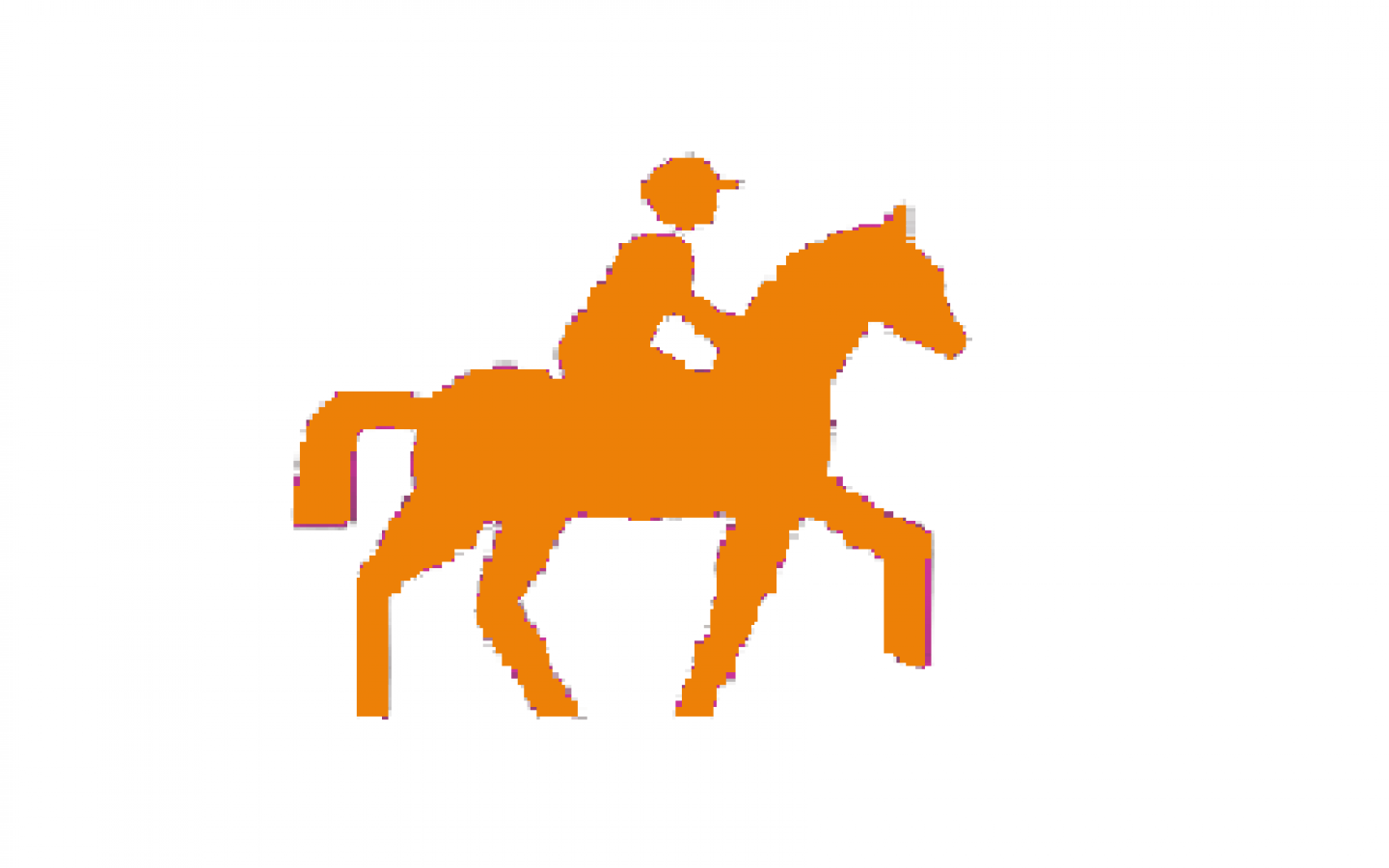 Stage découverte du poney