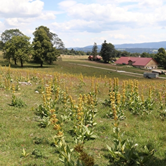 Point de vue du Grand Taureau - PONTARLIER