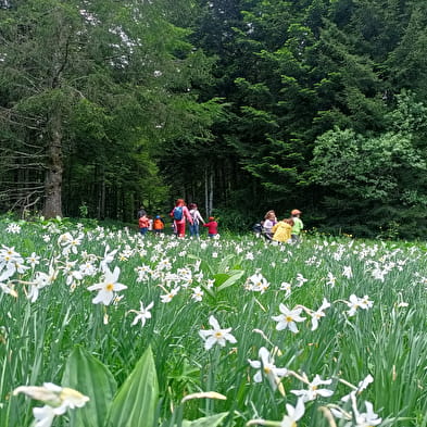 Sorties 'nature' pour les scolaires avec Impulsion