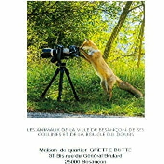 Fototentoonstelling over de dieren van de stad - BESANCON