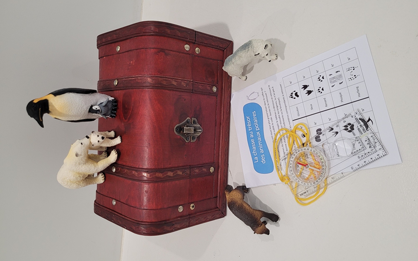 Schattenjacht op ijsdieren