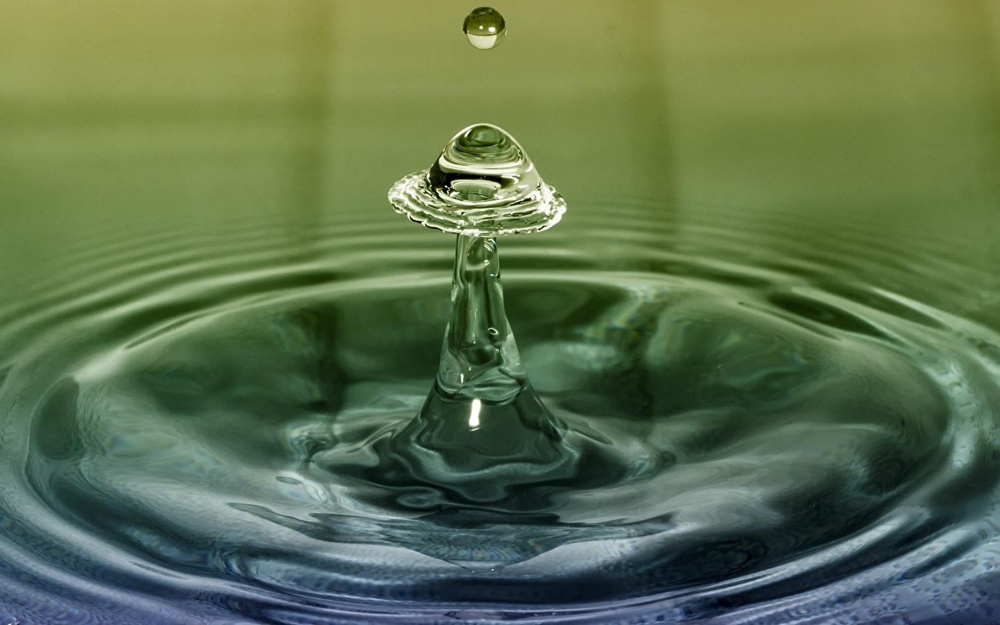 Familieworkshop: Waterspelletjes, voor kinderen van 4-7 jaar!