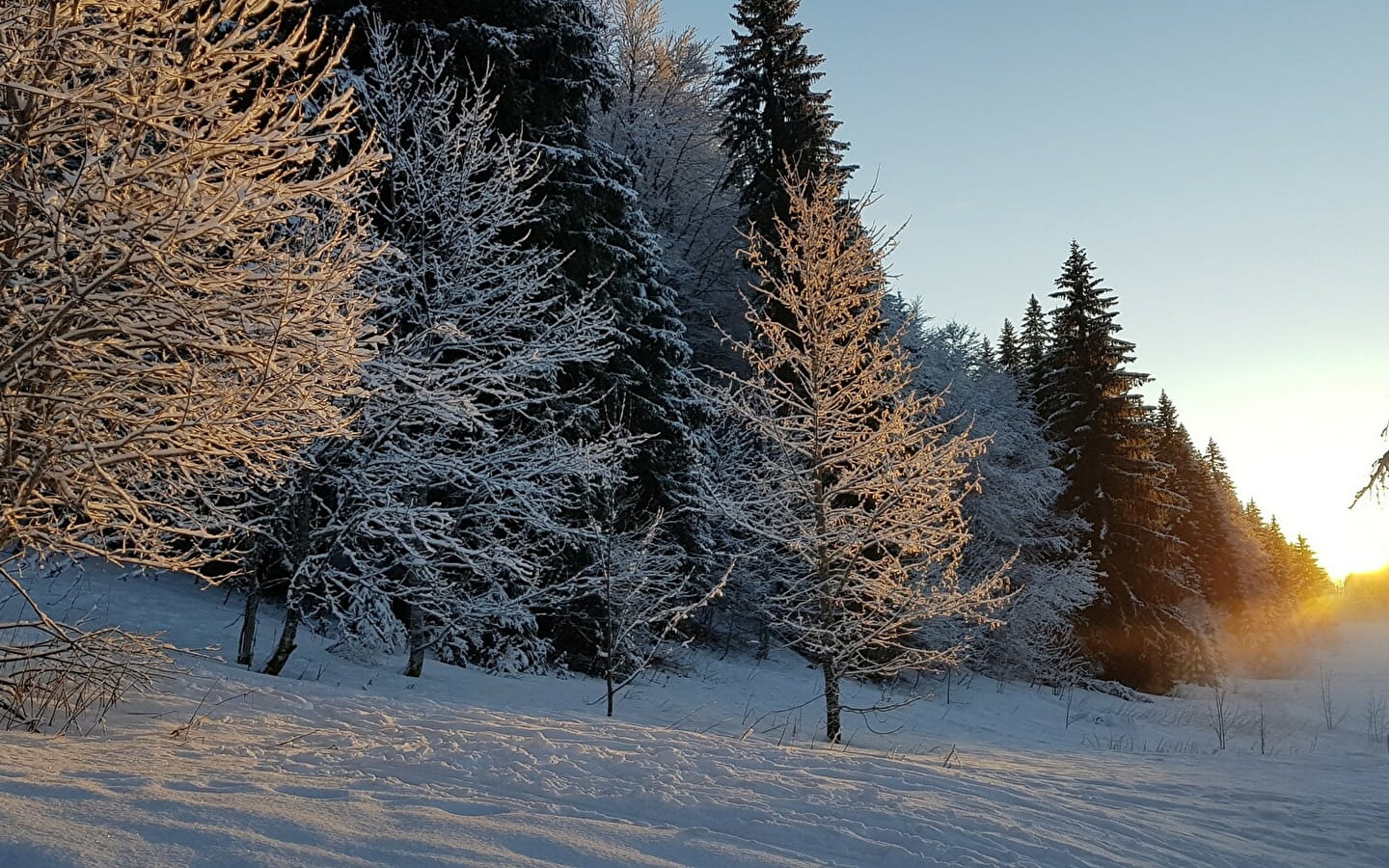 De Grande traversée du Jura op langlaufski's - GTJ op langlaufski's