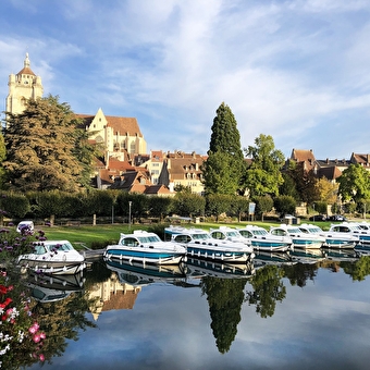 De aanvalsweide - DOLE