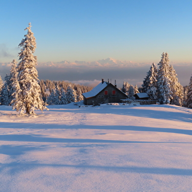 Sneeuwschoenwandelen in de vrije natuur van de Zwitserse Jura