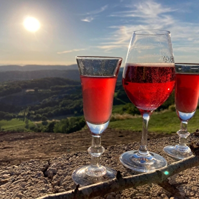 Vaingabond - Location vélos électriques et paddles
