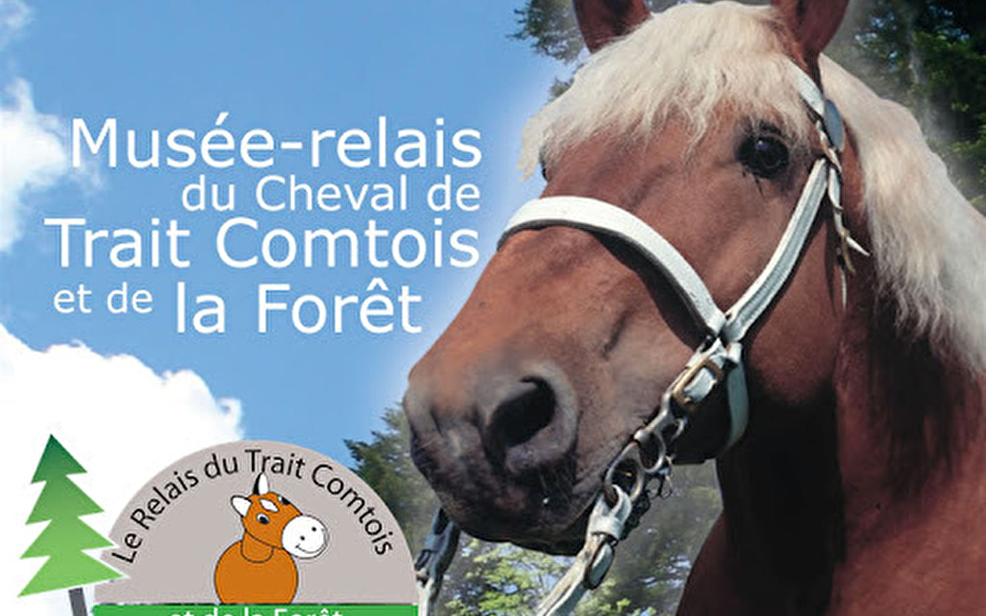 Ritten met een paardenkoets