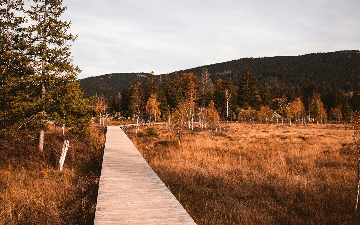 Herfst Wandelen/Well-being Verblijf